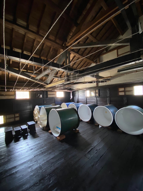 「ヤマサン正宗」の「酒持田本店」へ酒蔵研修に行ってきました