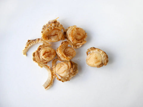 海鮮好きに食べていただきたい!旨みが溢れる「ひとつぶ帆立」