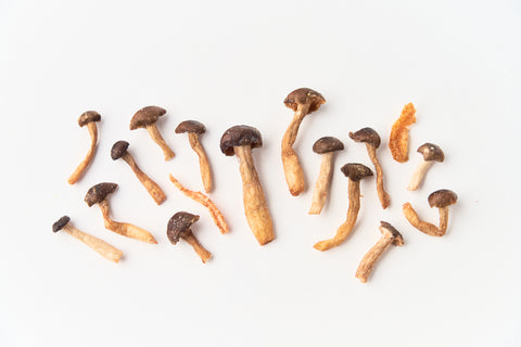 ＜NEW＞おつまみ3種詰め合わせ